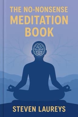 The No-Nonsense Meditation Book